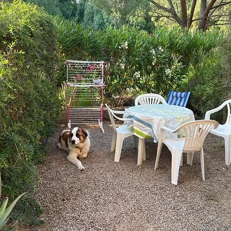 Avec Jardin Au Coeur De La Pinede De Calvi (Corsica)